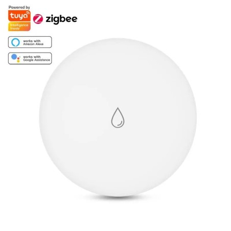Smart Water Leak Detector