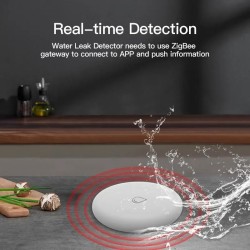 Smart Water Leak Detector