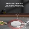 Smart Water Leak Detector