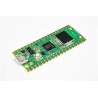 Raspberry Pi Pico W